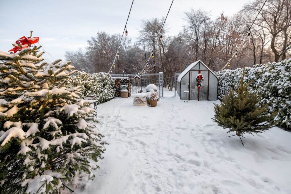 Best Landscaping Contractors in Toronto & GTA 2026